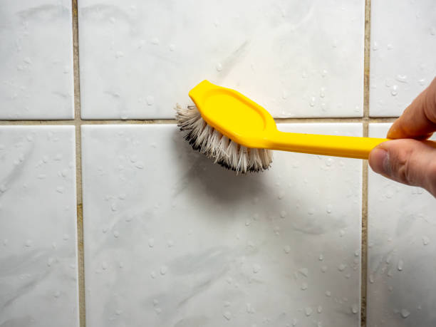 Best Mold Testing and Inspection Services in Gordo, AL