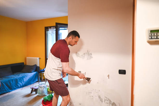 Best Post-Flood Mold Remediation in Gordo, AL